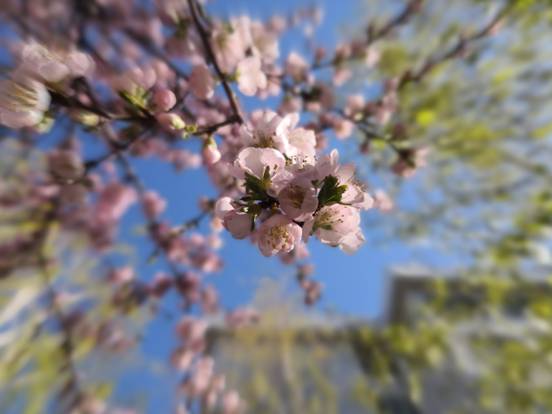 PicsArt_04-19-06.56.16